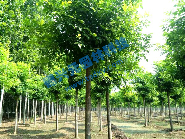 �c���鿴Ԕ����Ϣ���}����Ϟ ��x�Δ���2325