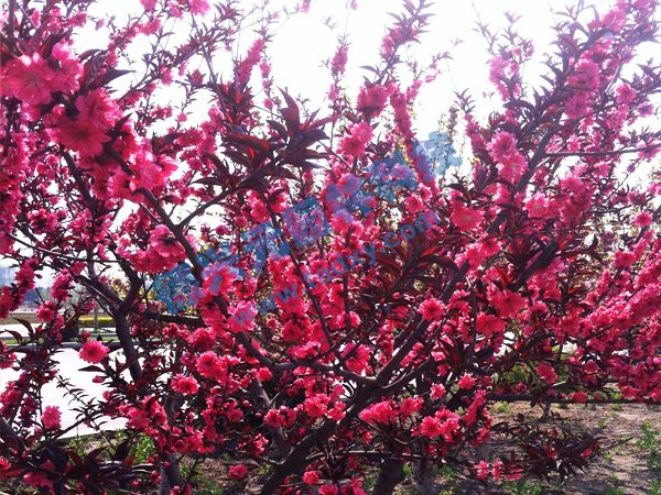 �c���鿴Ԕ����Ϣ���}������ ��x�Δ�(sh��)��2246