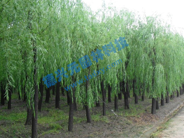 �c���鿴Ԕ����Ϣ���}������ ��x�Δ���2310