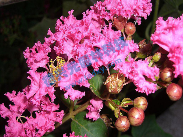 �c���鿴Ԕ����Ϣ���}����ޱ ��x�Δ�(sh��)��1776