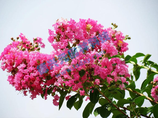 �c���鿴Ԕ����Ϣ���}����ޱ ��x�Δ���1876